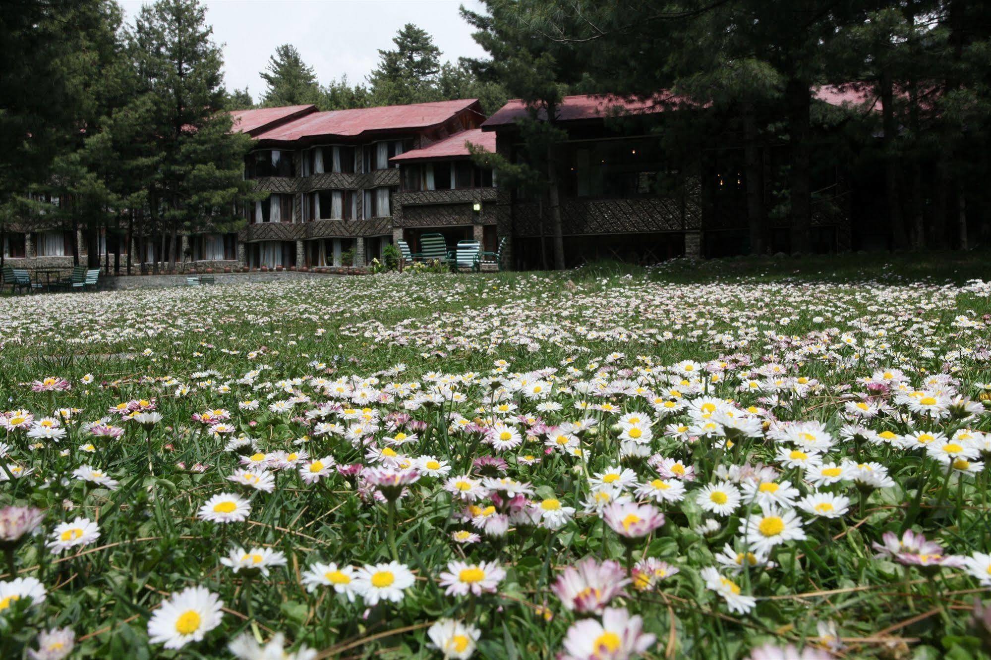 Senator Pine N Peak Hotel Pahalgām Exterior foto